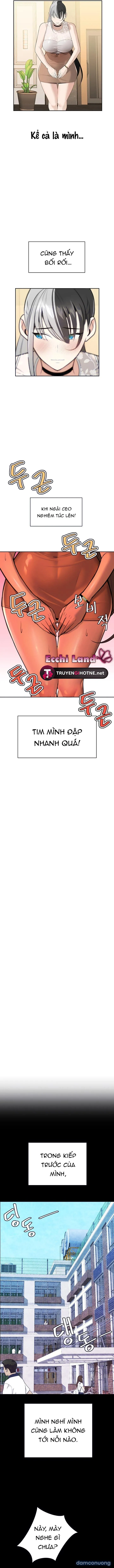 Những Nhân Tình Bí Mật Của Chàng Phú Tam Đại 
