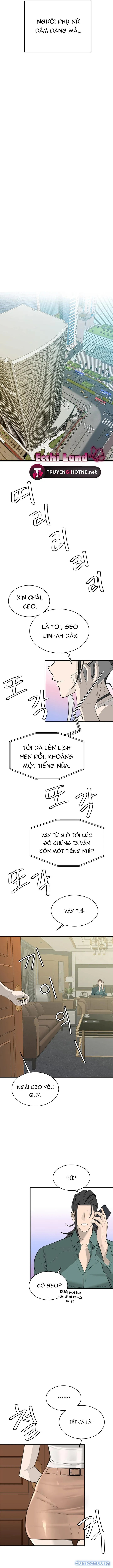 Những Nhân Tình Bí Mật Của Chàng Phú Tam Đại 
