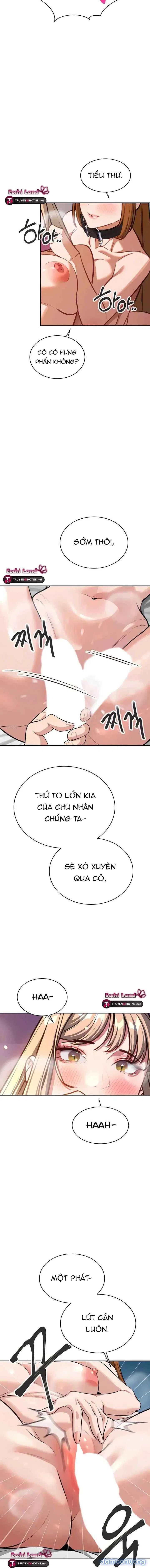 Những Nhân Tình Bí Mật Của Chàng Phú Tam Đại 