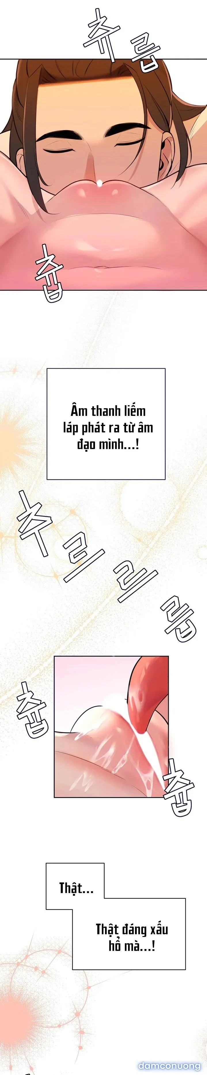 Những Nhân Tình Bí Mật Của Chàng Phú Tam Đại 