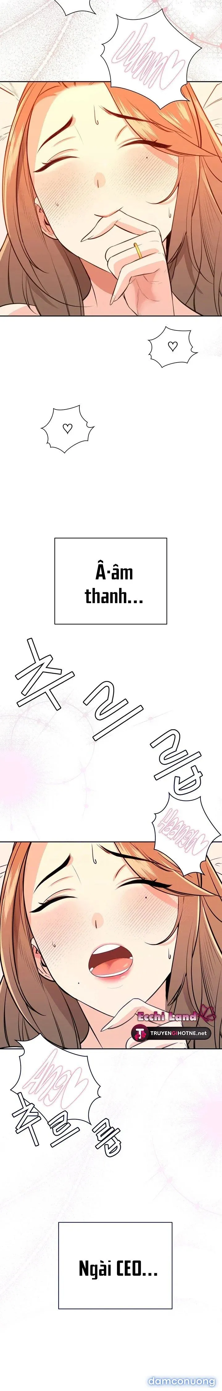 Những Nhân Tình Bí Mật Của Chàng Phú Tam Đại 