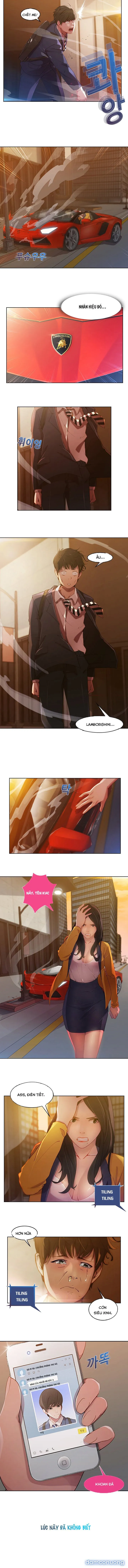 Quý Cô Chân Dài 