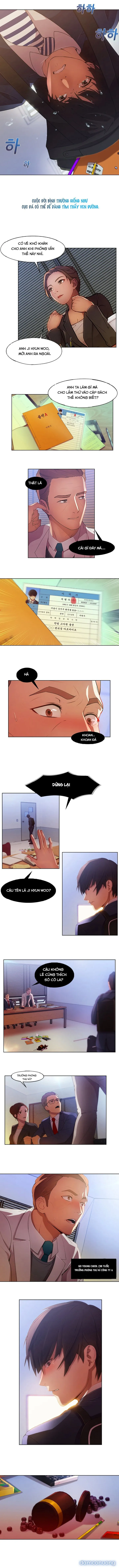 Quý Cô Chân Dài 
