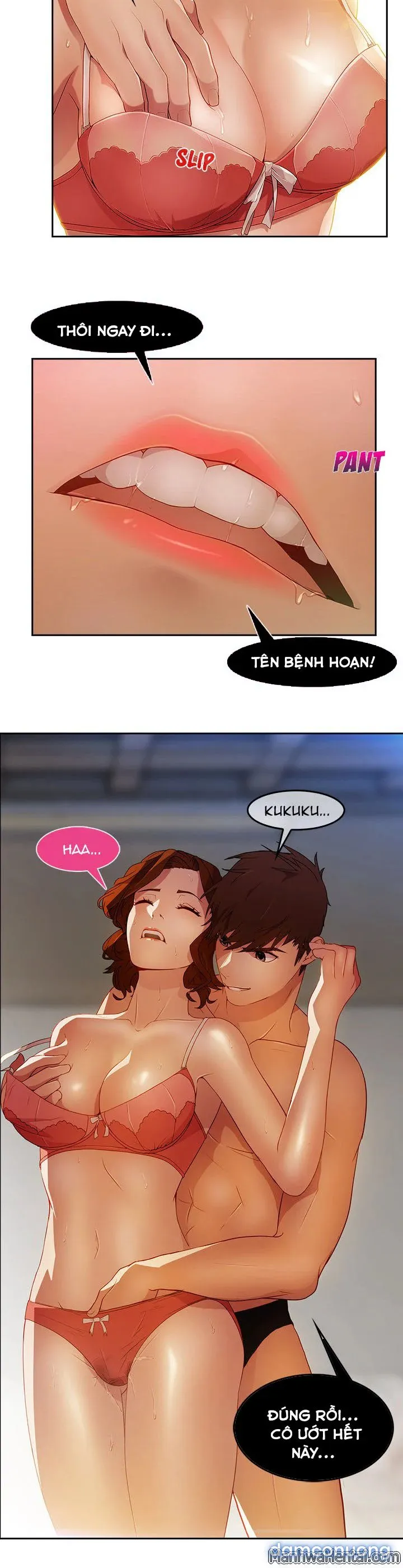 Quý Cô Chân Dài 