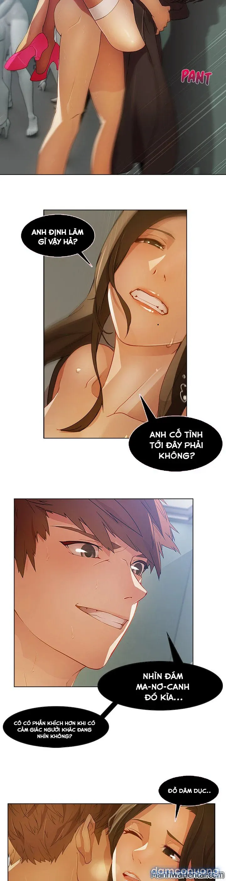 Quý Cô Chân Dài 
