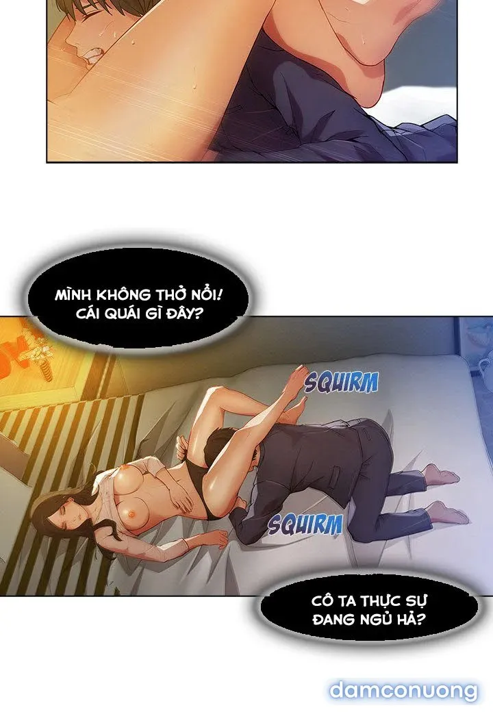 Quý Cô Chân Dài 