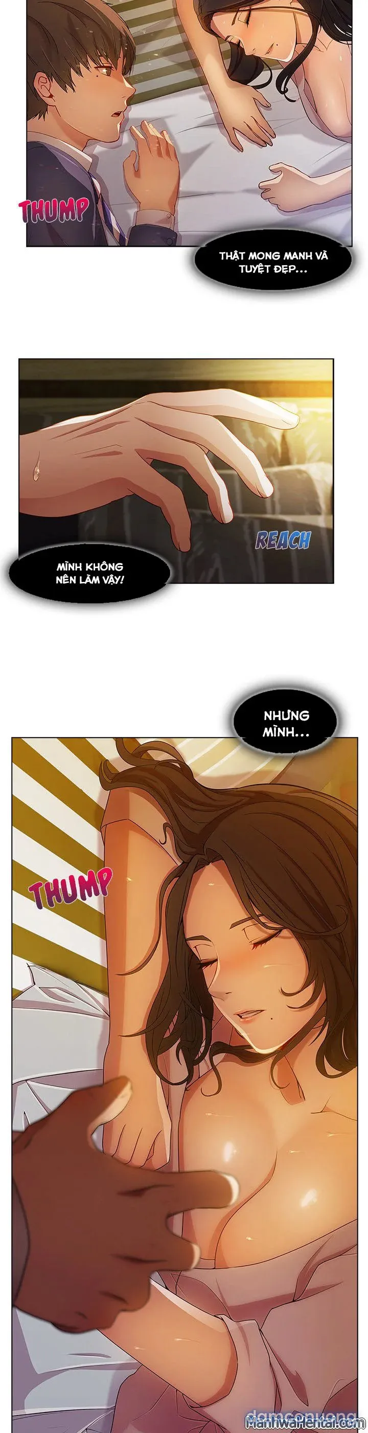 Quý Cô Chân Dài 