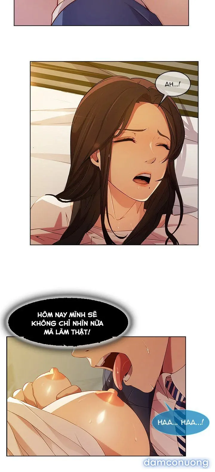 Quý Cô Chân Dài 