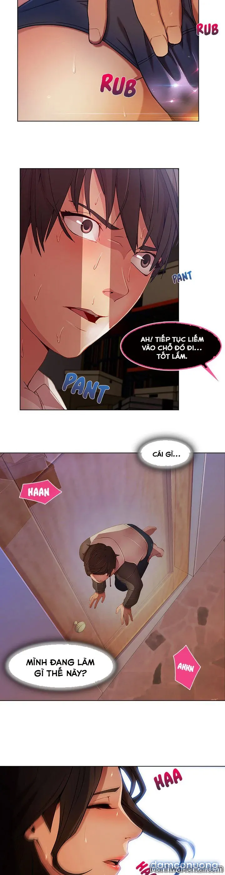 Quý Cô Chân Dài 