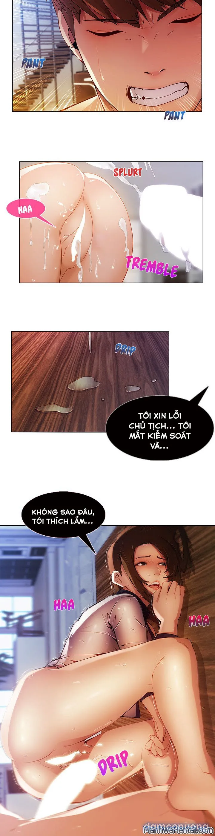 Quý Cô Chân Dài 