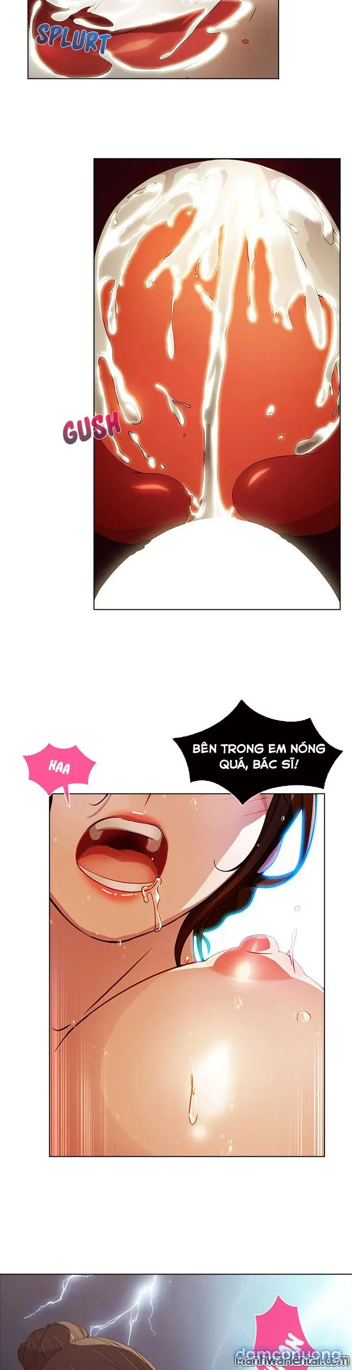 Quý Cô Chân Dài 