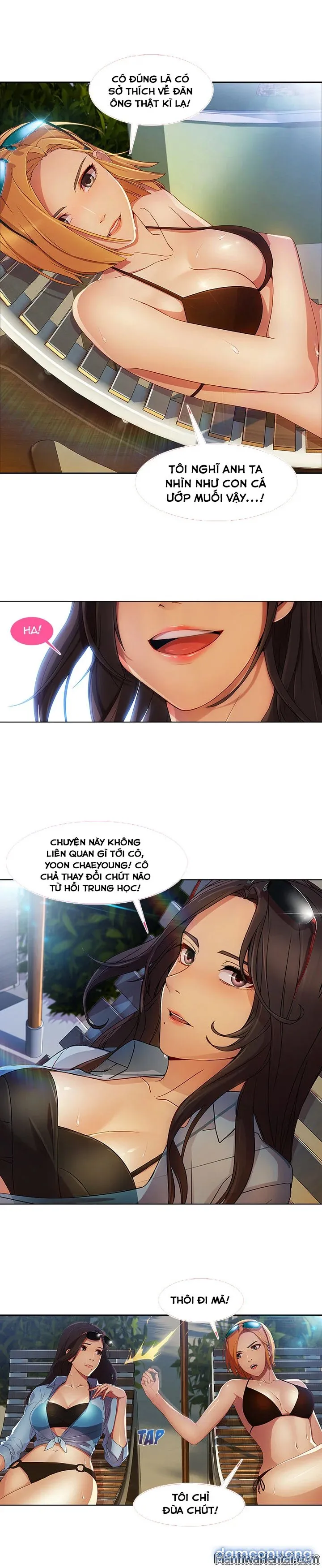 Quý Cô Chân Dài 