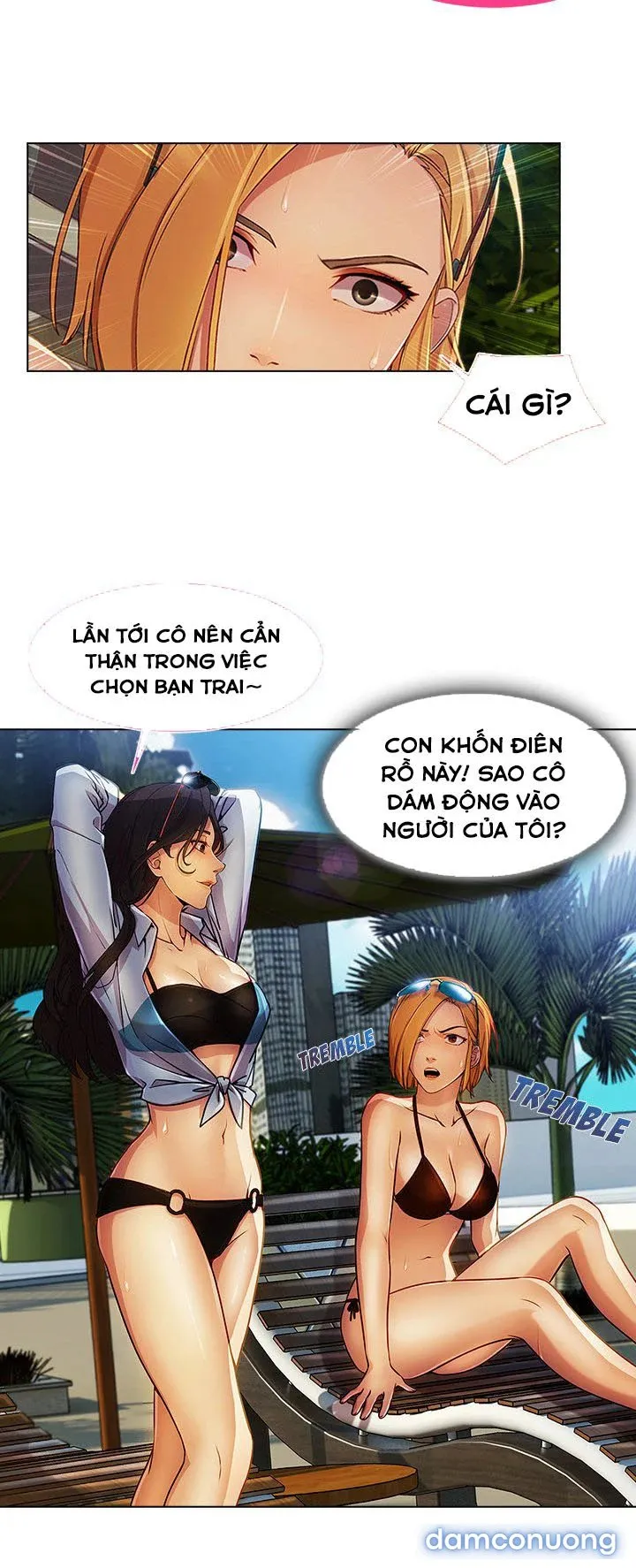 Quý Cô Chân Dài 