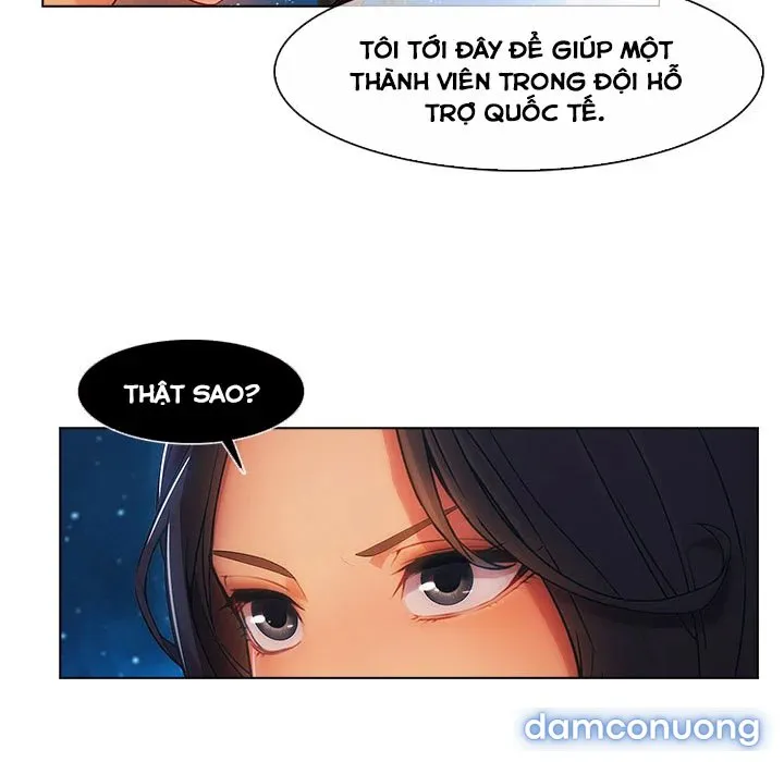Quý Cô Chân Dài 