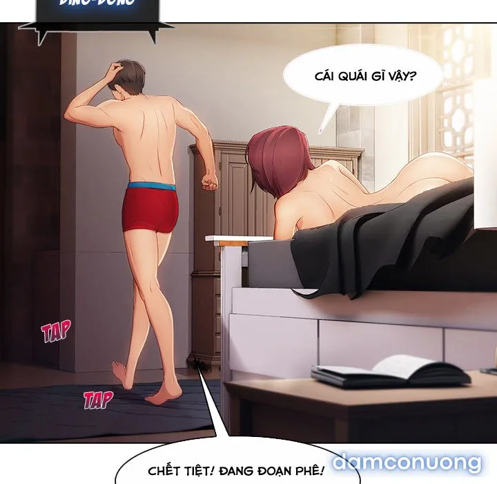 Quý Cô Chân Dài 