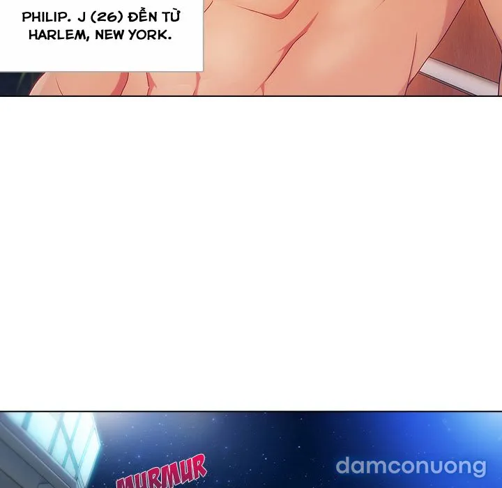 Quý Cô Chân Dài 