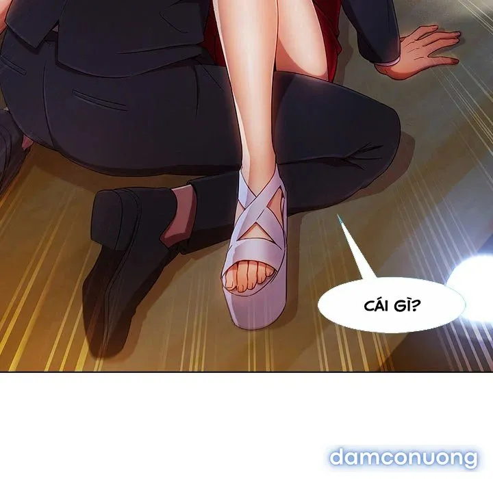 Quý Cô Chân Dài 