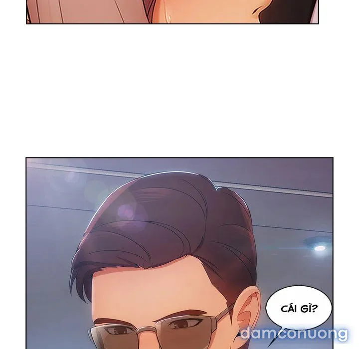 Quý Cô Chân Dài 