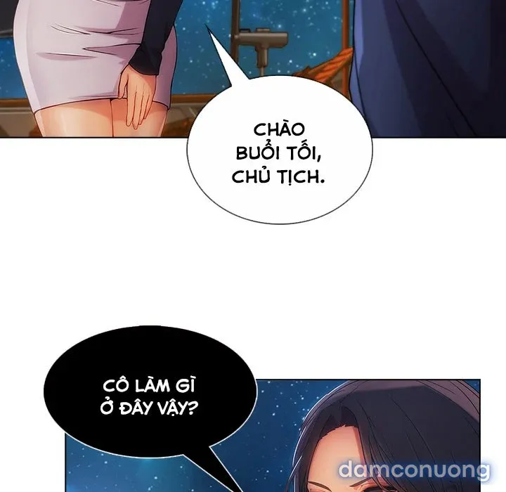 Quý Cô Chân Dài 