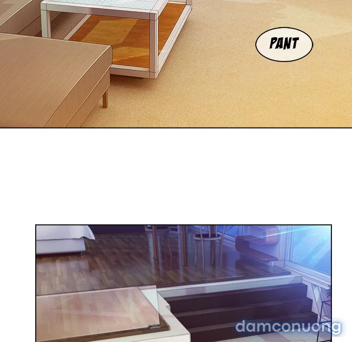 Quý Cô Chân Dài 