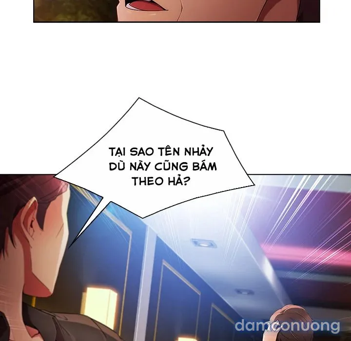 Quý Cô Chân Dài 