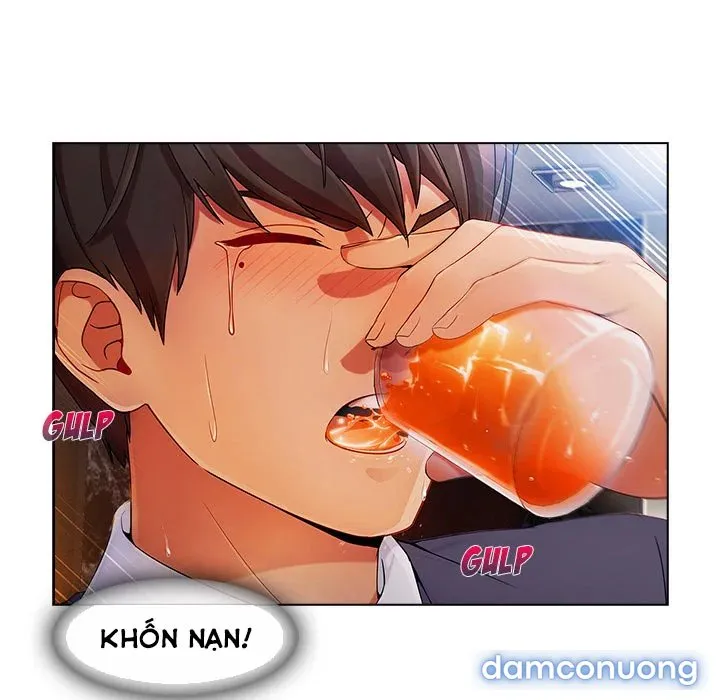 Quý Cô Chân Dài 