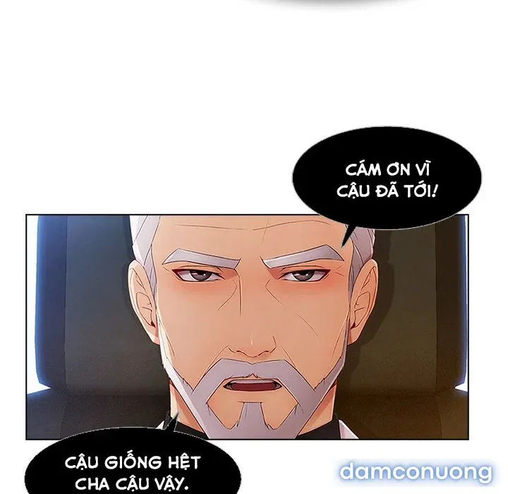 Quý Cô Chân Dài 