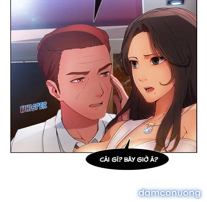 Quý Cô Chân Dài 