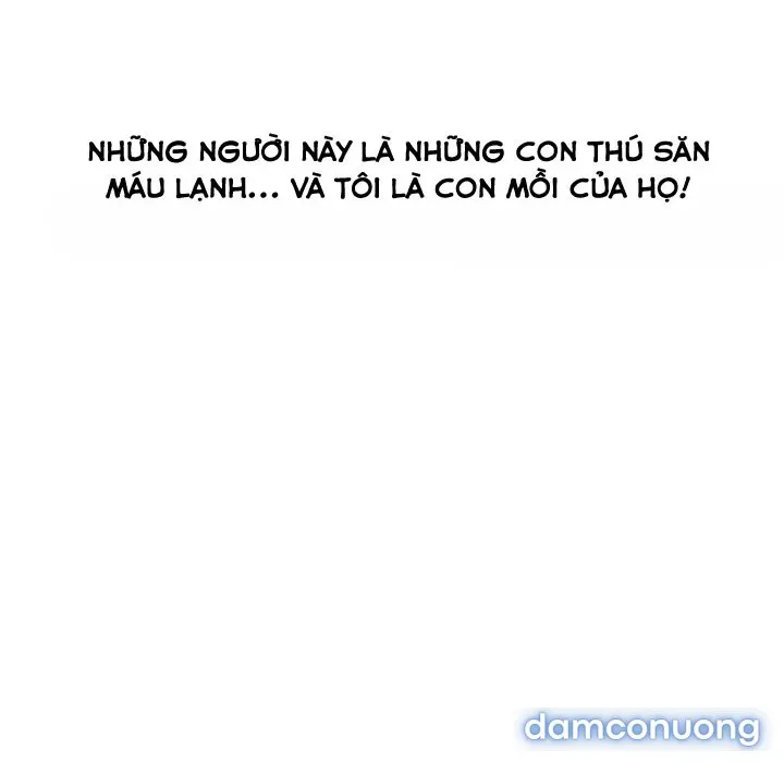 Quý Cô Chân Dài 