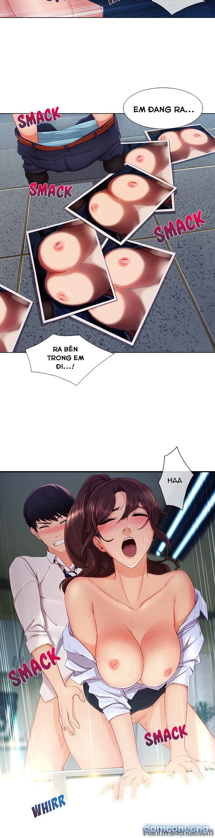 Quý Cô Chân Dài 