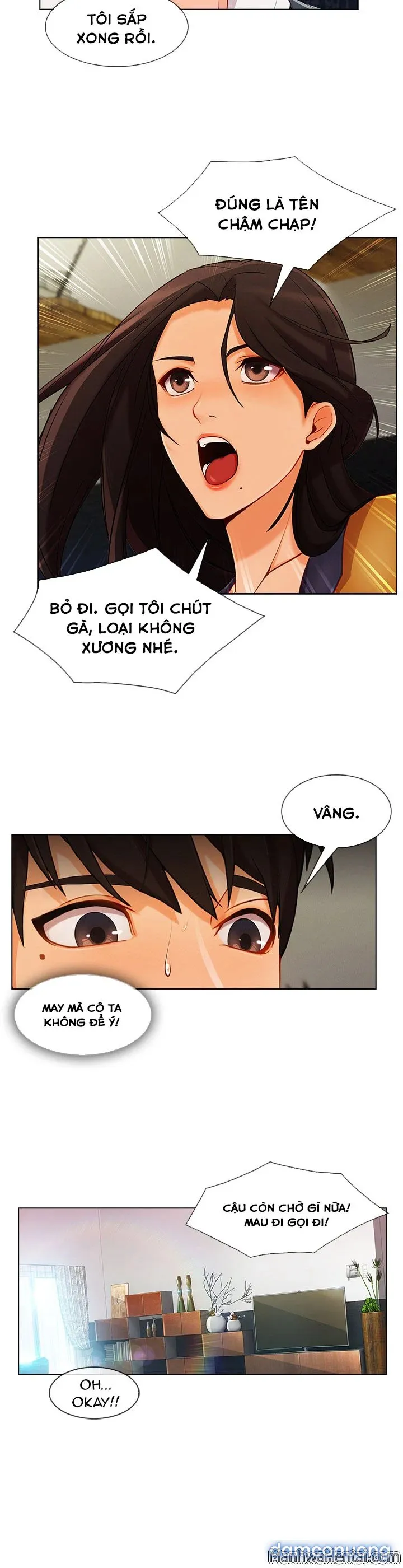 Quý Cô Chân Dài 