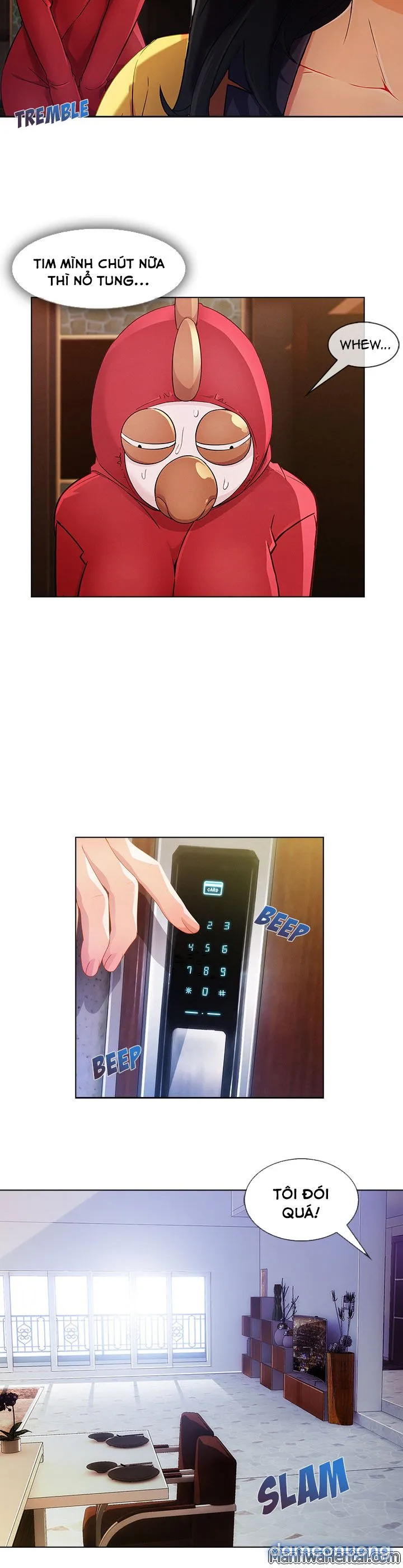 Quý Cô Chân Dài 