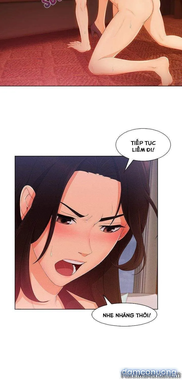 Quý Cô Chân Dài 