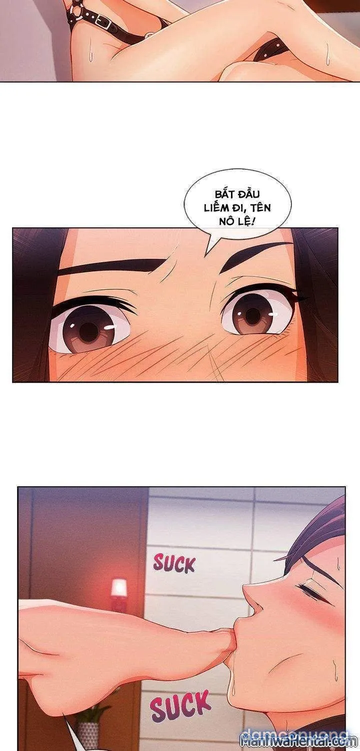 Quý Cô Chân Dài 