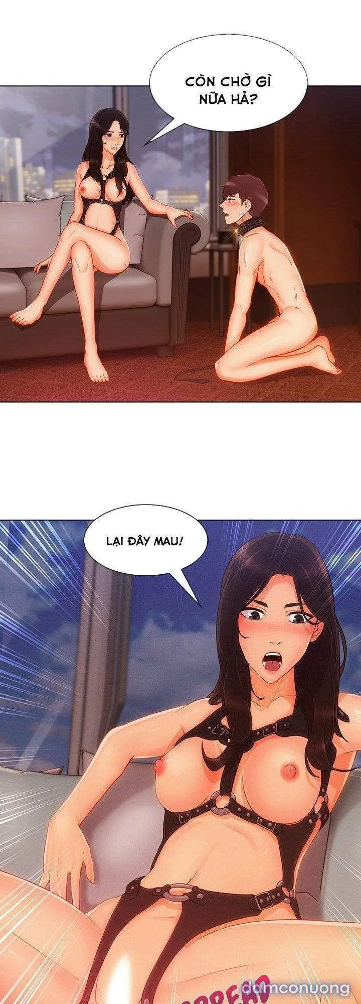 Quý Cô Chân Dài 