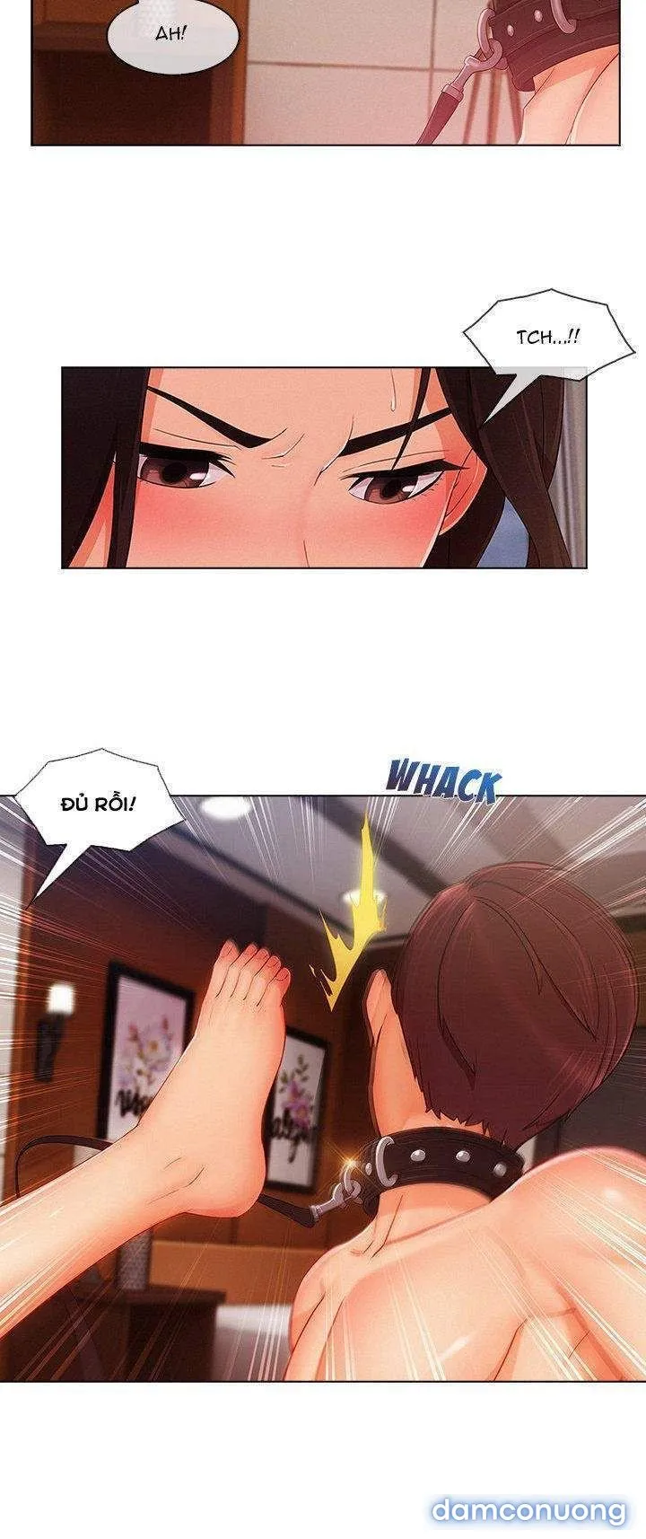 Quý Cô Chân Dài 
