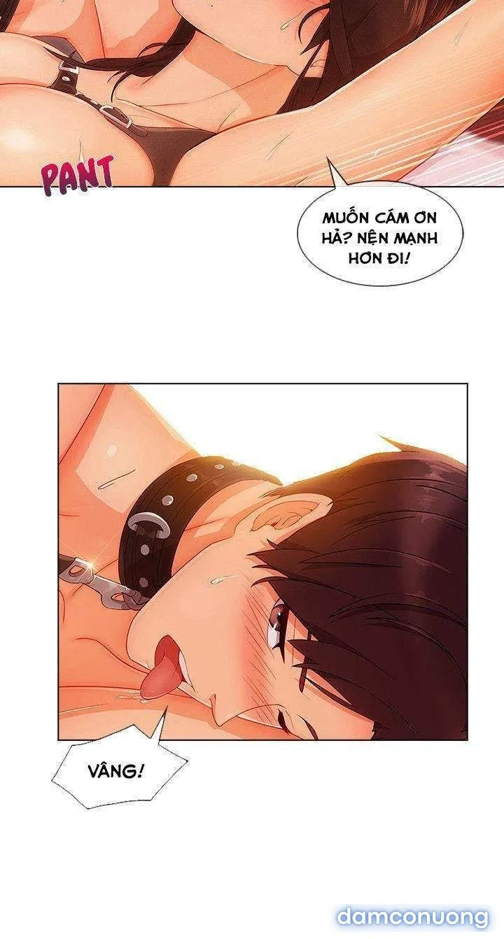 Quý Cô Chân Dài 