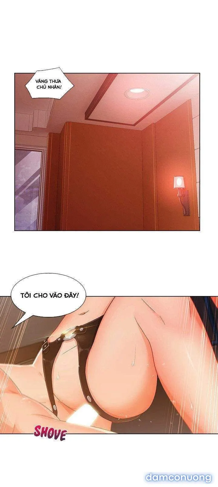 Quý Cô Chân Dài 