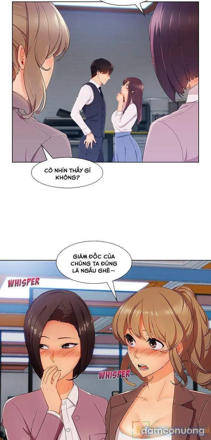Quý Cô Chân Dài 