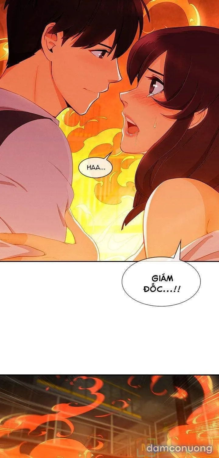 Quý Cô Chân Dài 