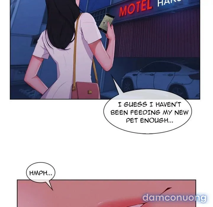 Quý Cô Chân Dài 