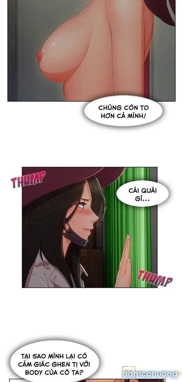 Quý Cô Chân Dài 