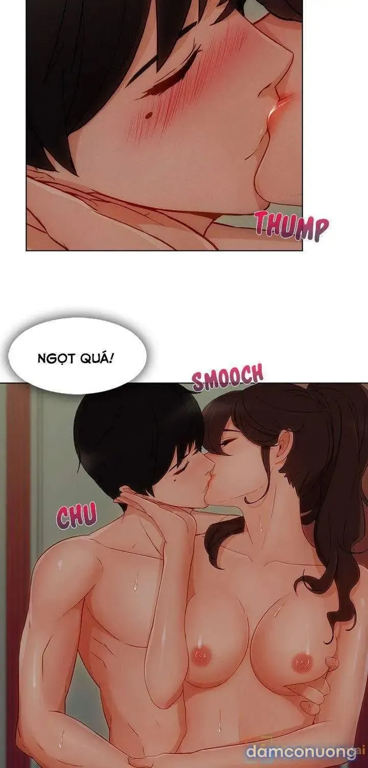 Quý Cô Chân Dài 