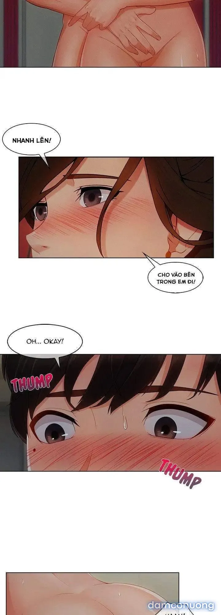 Quý Cô Chân Dài 