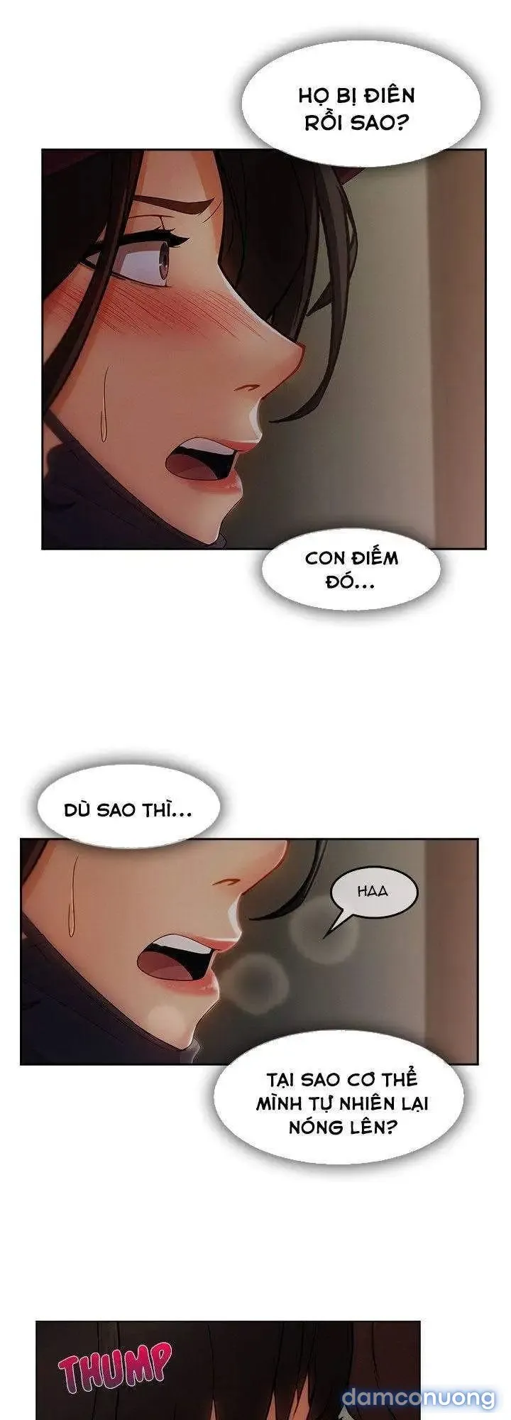 Quý Cô Chân Dài 