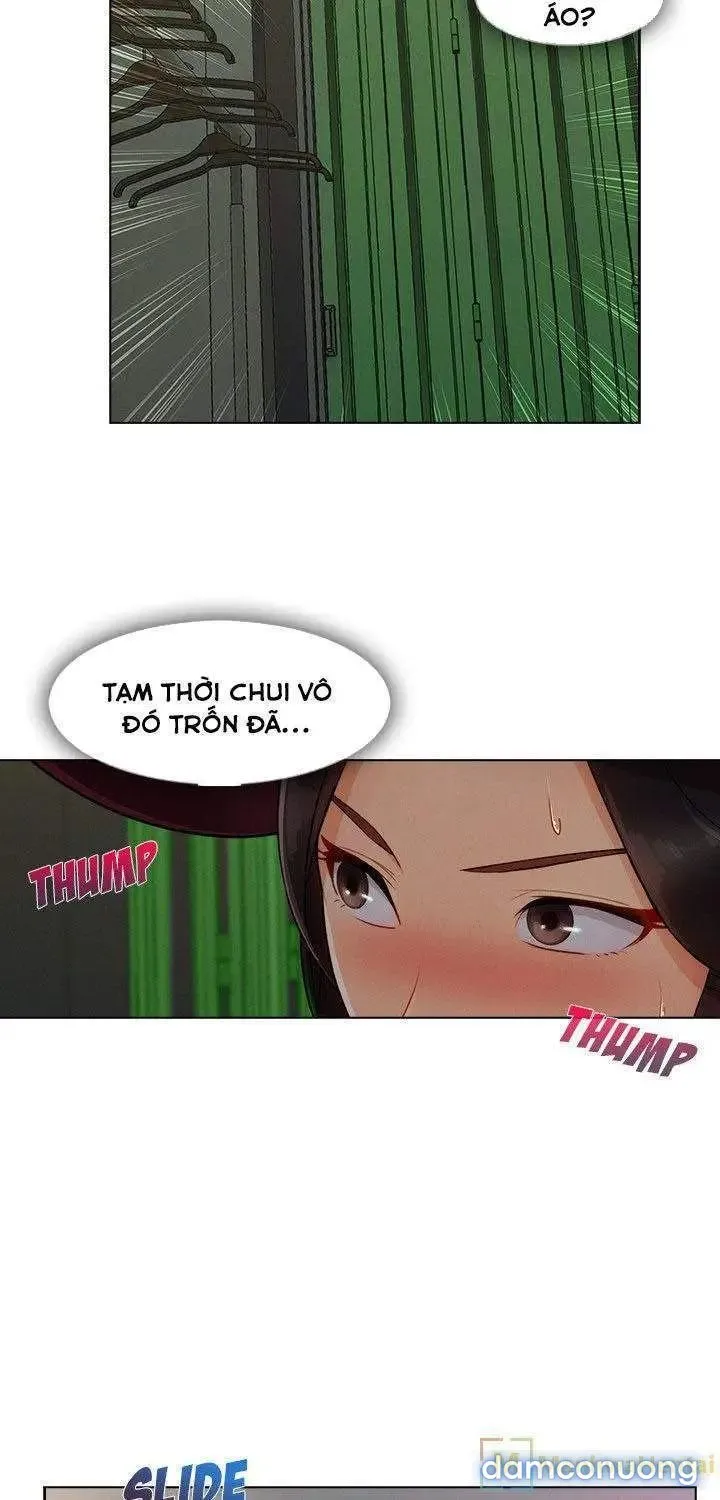 Quý Cô Chân Dài 