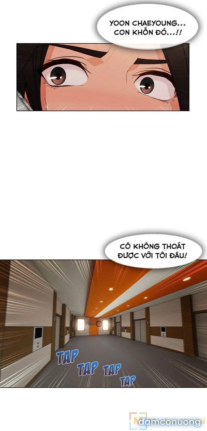Quý Cô Chân Dài 