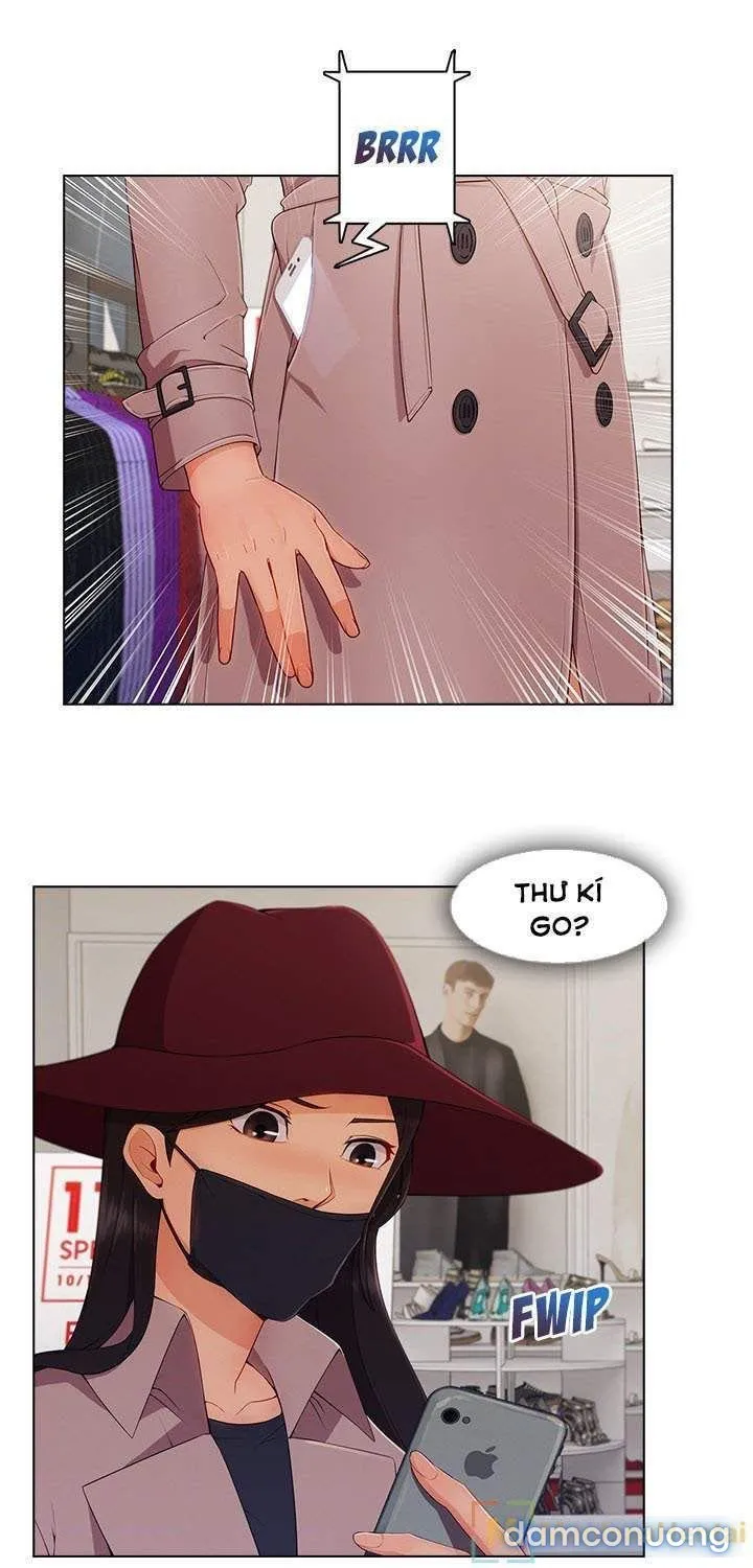 Quý Cô Chân Dài 