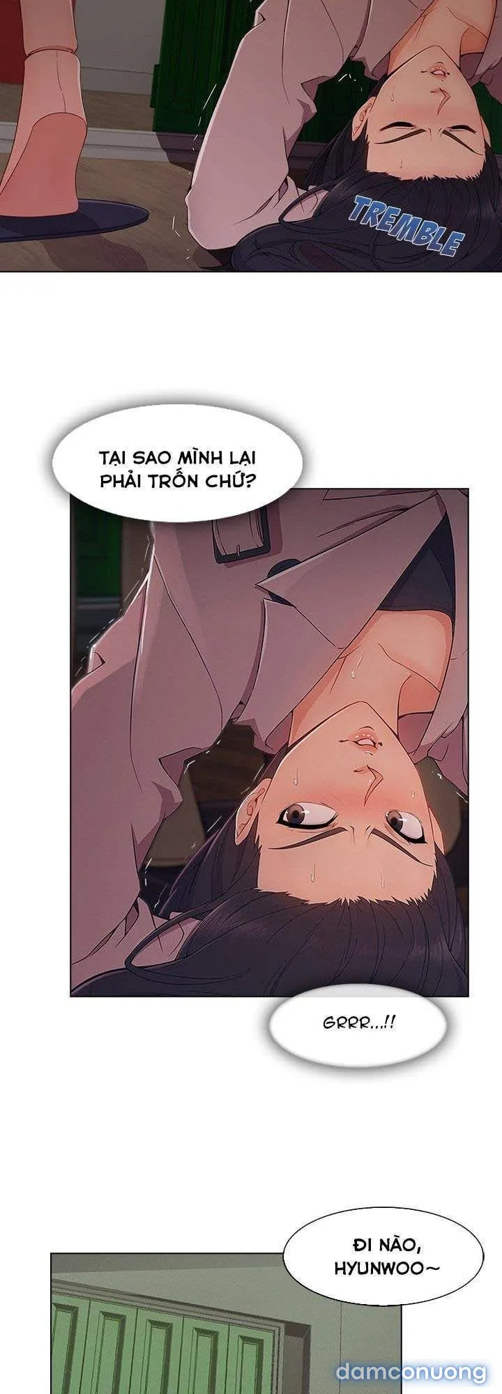 Quý Cô Chân Dài 