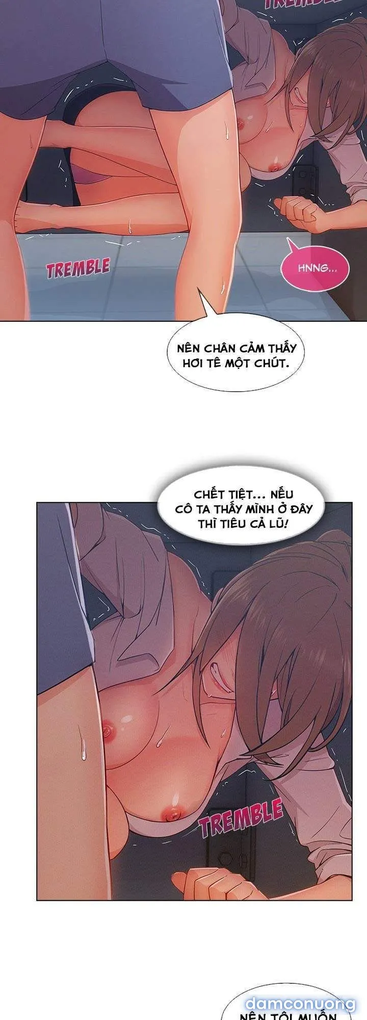 Quý Cô Chân Dài 